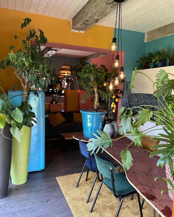 Tiny Kot -pompkot - buskot - plantkot -Boekenkot en love kot Poelkapelle Buitenkant foto